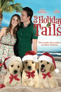  Три рождественские сказки 